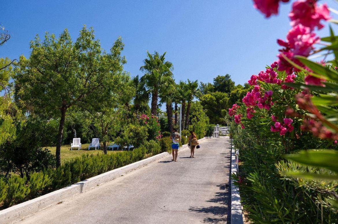 Aria Di Mare Vieste - Luxury Apartments By The Sea Εξωτερικό φωτογραφία